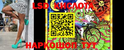 амф Новодвинск